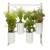 Potager d'intérieur Lilo Modulo connecté