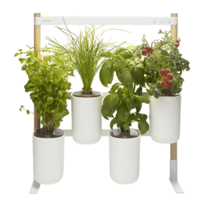 Potager d'intérieur Lilo Modulo connecté
