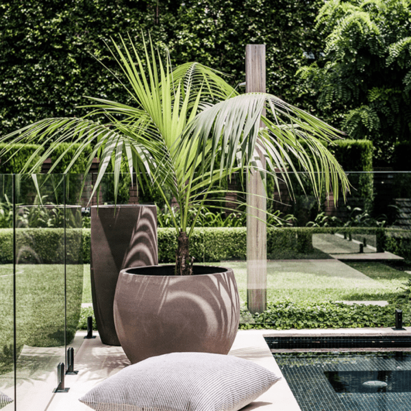 Pot Faxi – Image 2