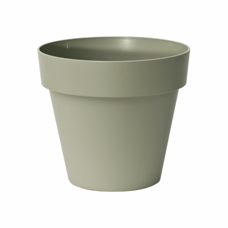 Pot rond Mitu - Romarin