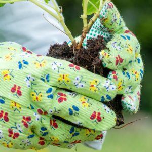 Les accessoires du jardinier