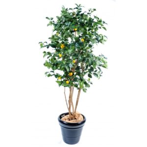 Citronnier artificiel