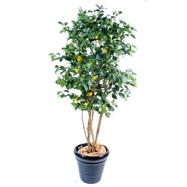 Citronnier artificiel
