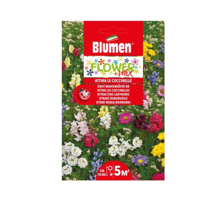 Mélange de fleurs pour 5m² - Attire les coccinelles