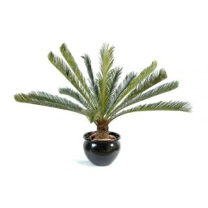 Cycas géant artificiel