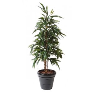 Ficus Alii Bush Royal artificiel