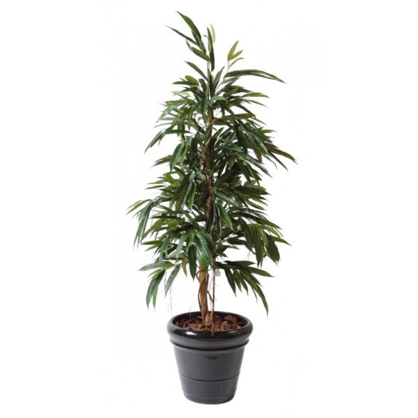 Ficus Alii Bush Royal artificiel