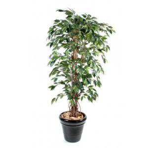 Ficus liane artificiel