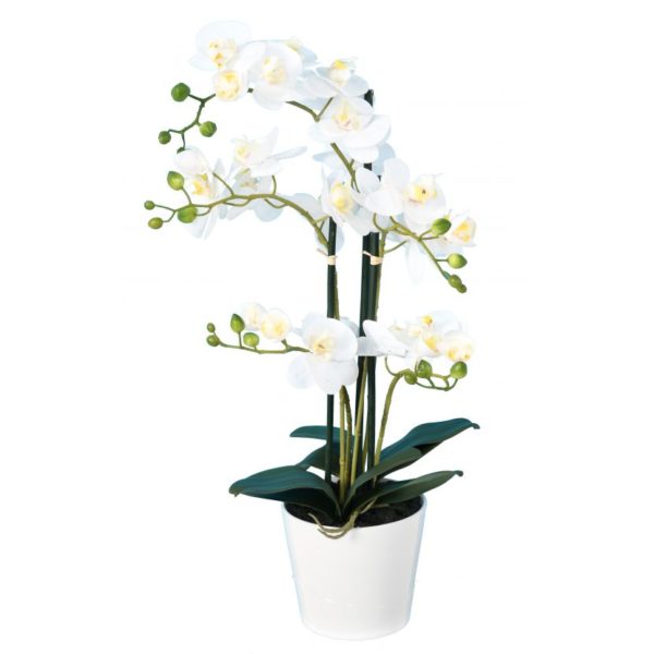 Orchidée Phalaenopsis blanche artificielle