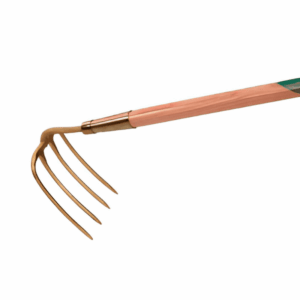 Croc à col de cygne