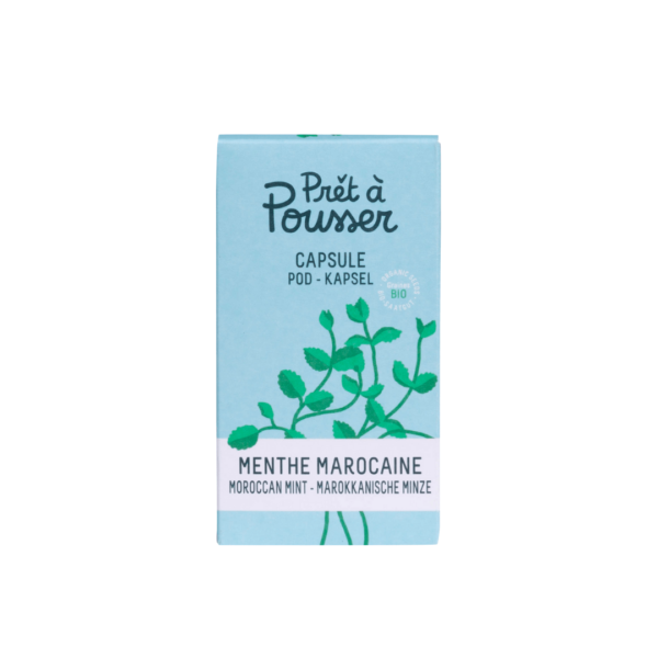Capsule menthe marocaine pour potager Lilo