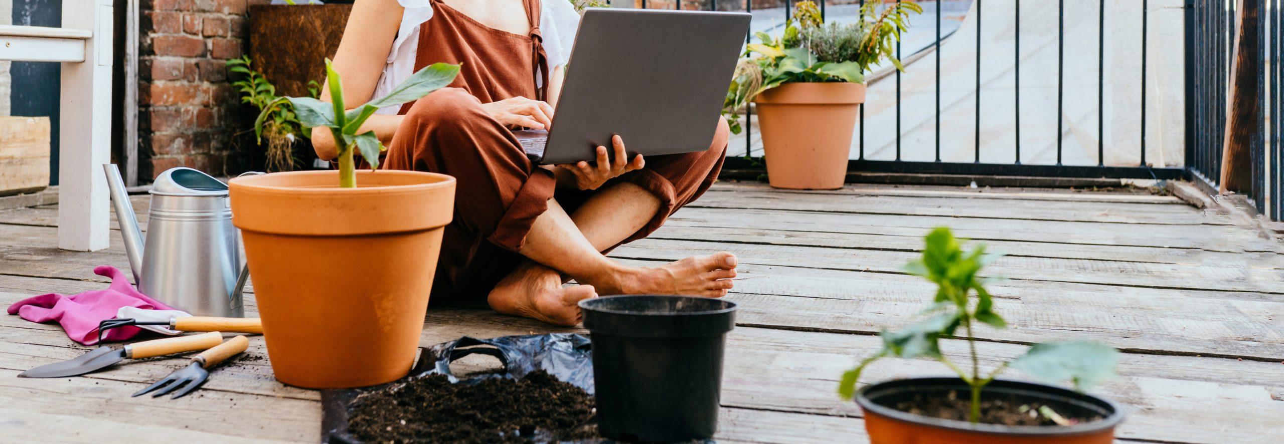 Les accessoires et pots pour vos plantes : élégants et pratiques