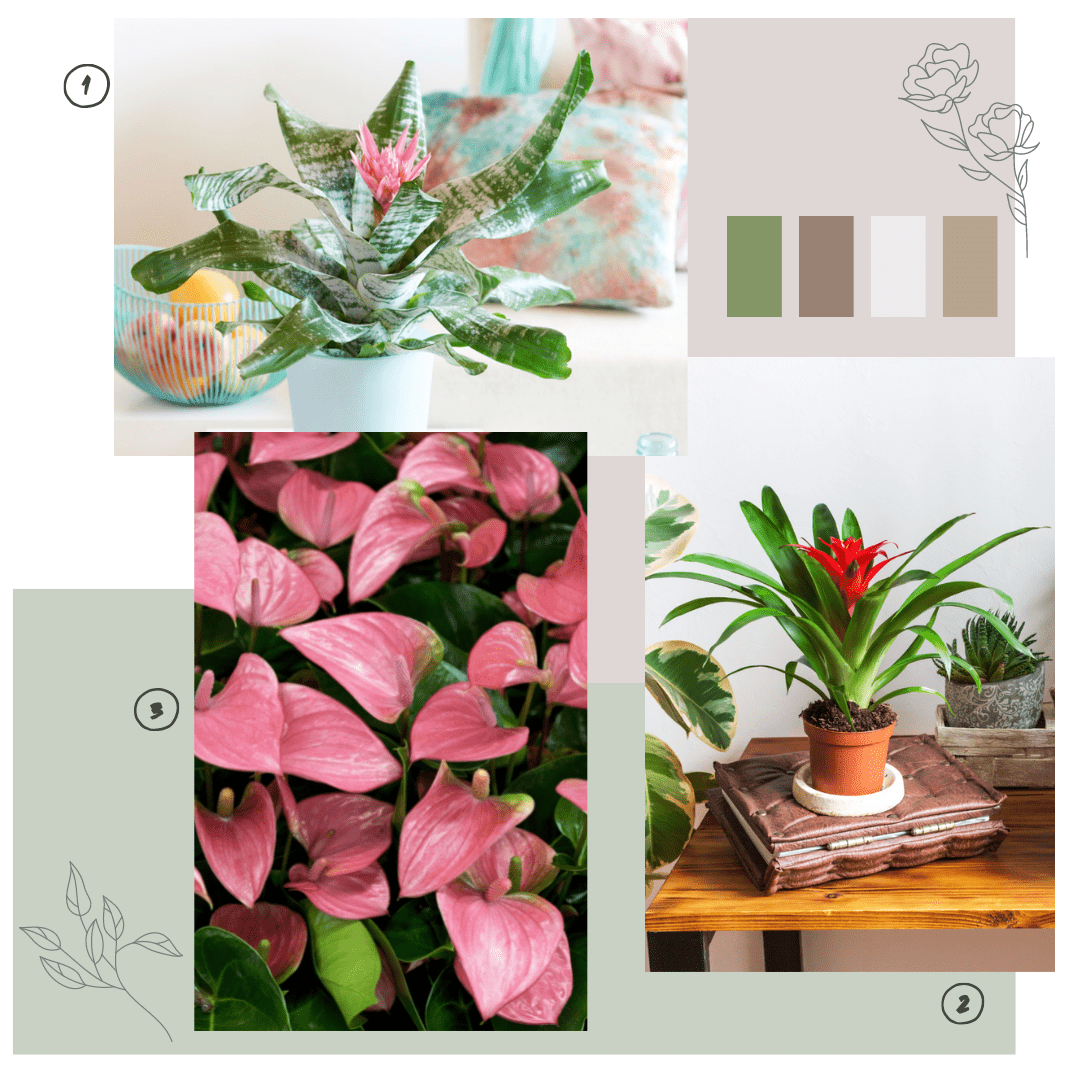 Lot de plantes à fleurs 2