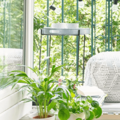 Plantes pour balcons et terrasses