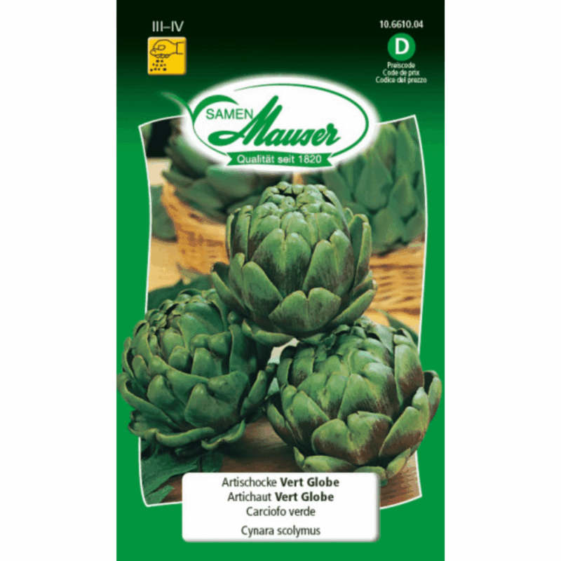 Artichaut Vert Globe