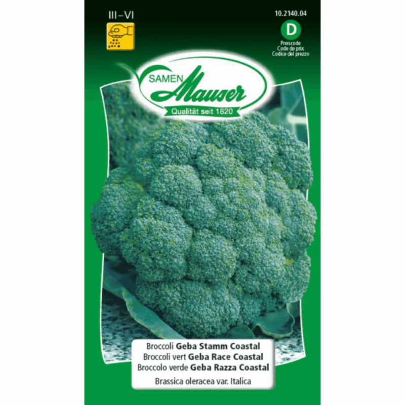 Brocoli vert Geba Race Coastal