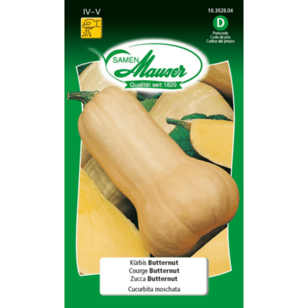 Courge Butternut