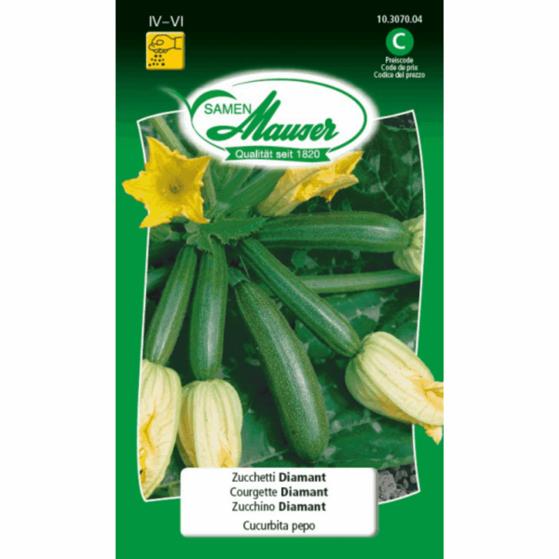 Courgette Diamant