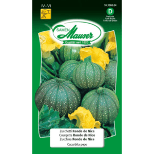 Courgette Ronde De Nice