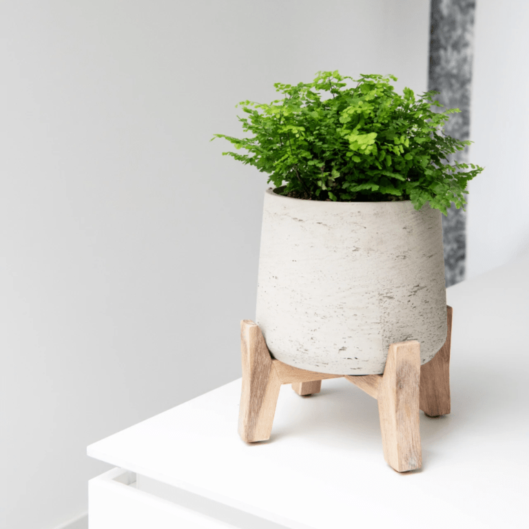 Cache-pot sur pied bas ‘Patt’ – Gris – Image 2