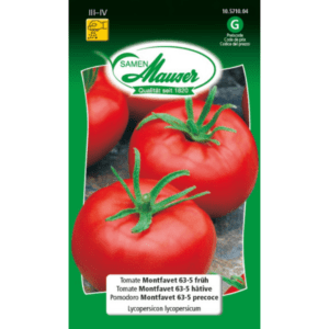 Tomate Montfavet 63-5 hâtive