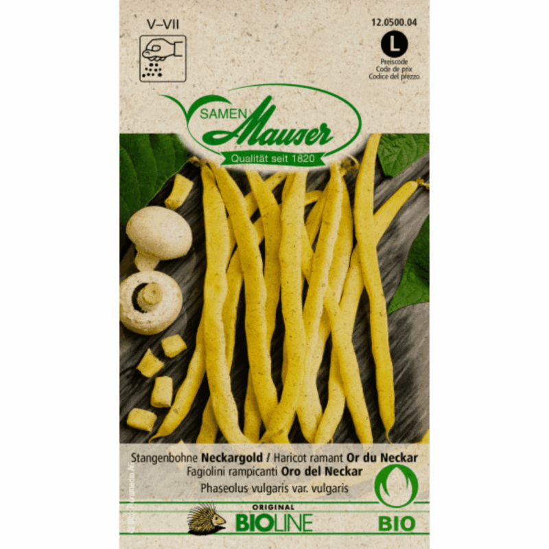 Haricot ramant Or du Neckar BIO