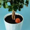 Olla décorée motif “jungle” blanche - taille au choix – Image 4
