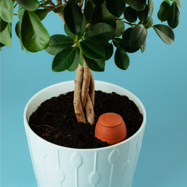 Olla décorée motif “jungle” blanche - taille au choix – Image 4