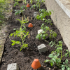 Olla 100% suisse – Image 9