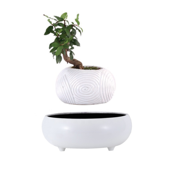 Jardin en lévitation white dream