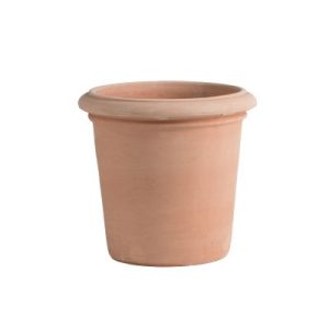 Pot Camelia Liscio