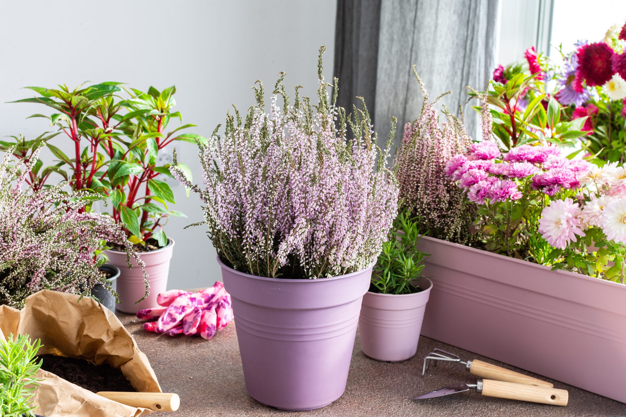 Jardinière d'herbes aromatiques personnalisée Cadeaux jardin