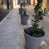 S-MALVA CO50 - Jardinière modèle "Malva" – Image 2