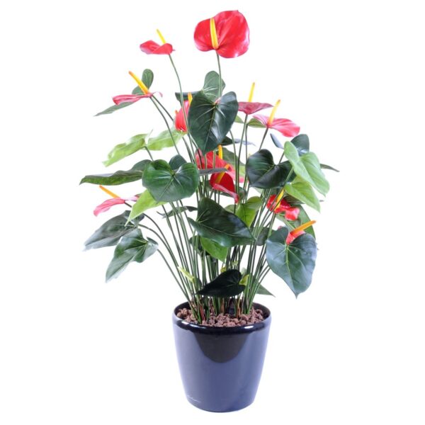 Anthurium artificiel