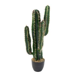 Cactus cereus artificiel