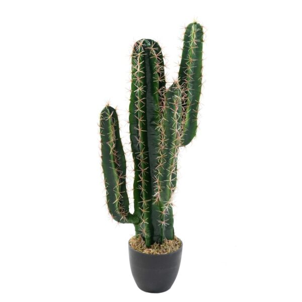 Cactus cereus artificiel