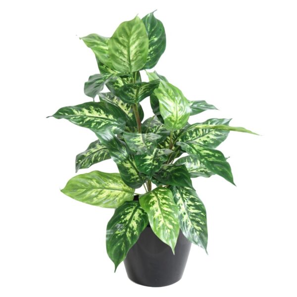 Dieffenbachia artificielle
