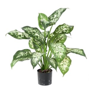 Dieffenbachia artificiel