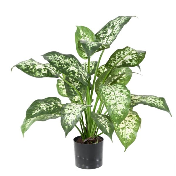 Dieffenbachia artificiel