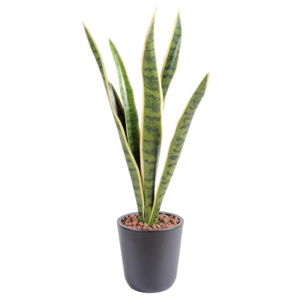 Sansevieria artificiel