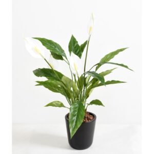 Spathiphyllum artificiel