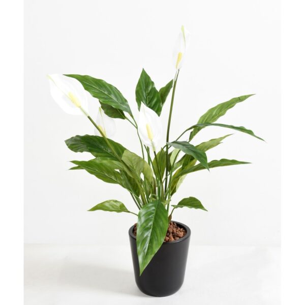 Spathiphyllum artificiel