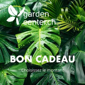 Bon cadeau