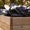 Bac Potager de jardin en bois – Image 3