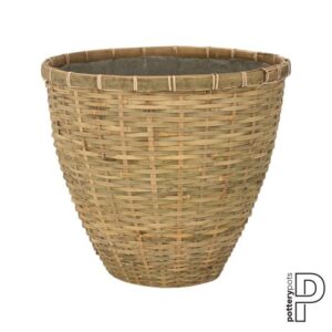 Diego S, Bamboo