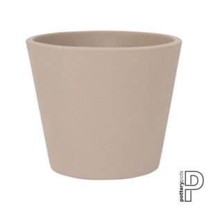 Inez S, Funghi Beige