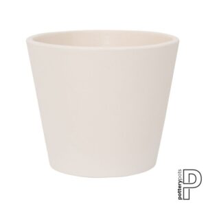 Inez S, Vanilla White