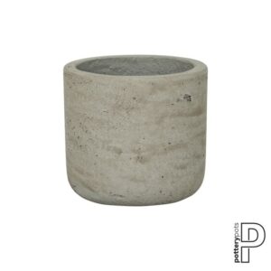 Charlie XXXS, Grey Washed