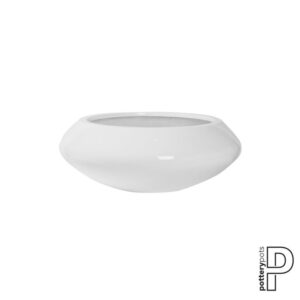 Tara M, Glossy White