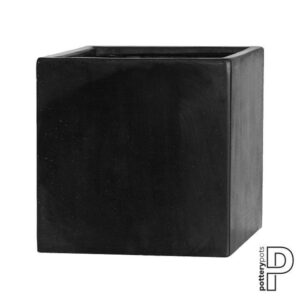 Fleur L, Black